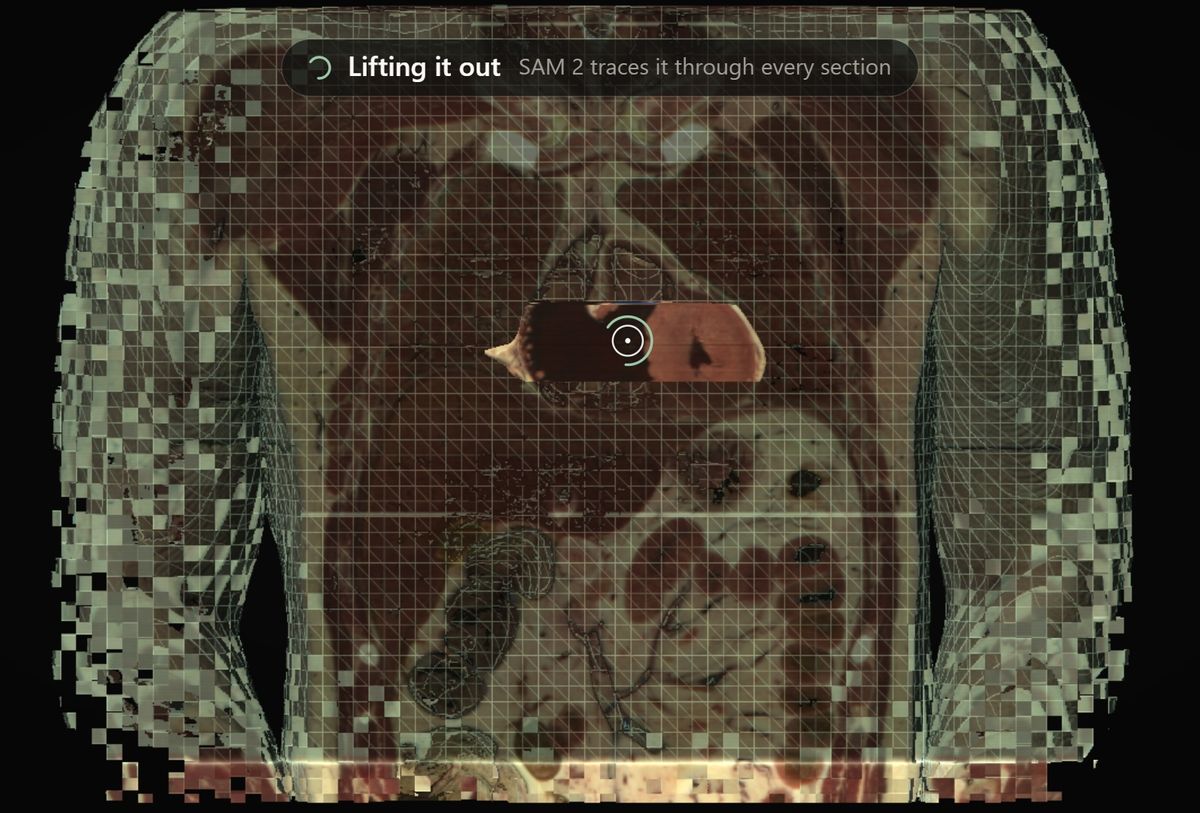 INSIDE - a 3D torso falling apart into cubes around the heart, which is left alone in its real colour